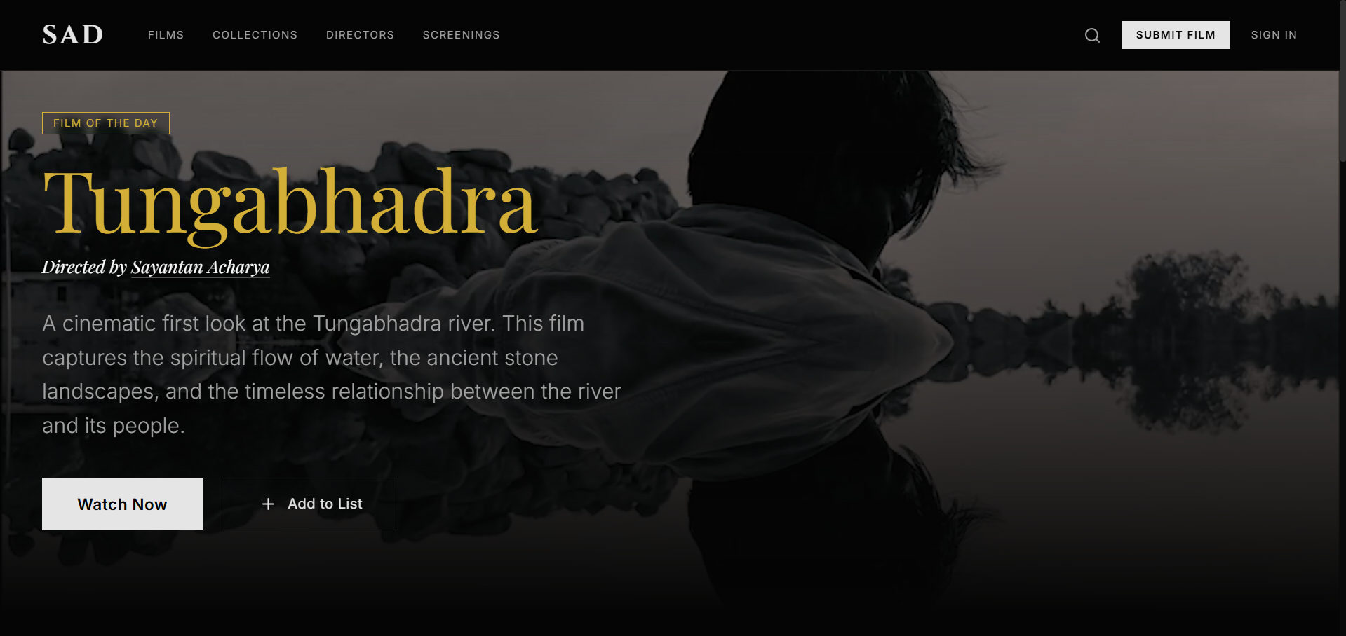 Curated Cinema Platform